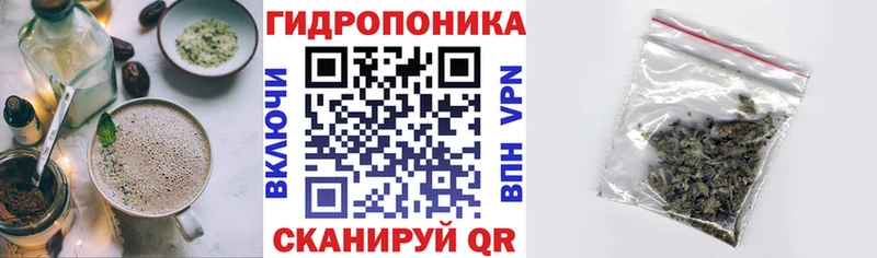 Cannafood конопля  Северодвинск 