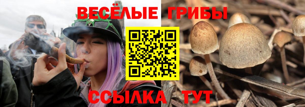 как найти закладки  Псилоцибиновые грибы Magic Shrooms  Вход с VPN  Псилоцибиновые грибы мухоморы  Северодвинск 