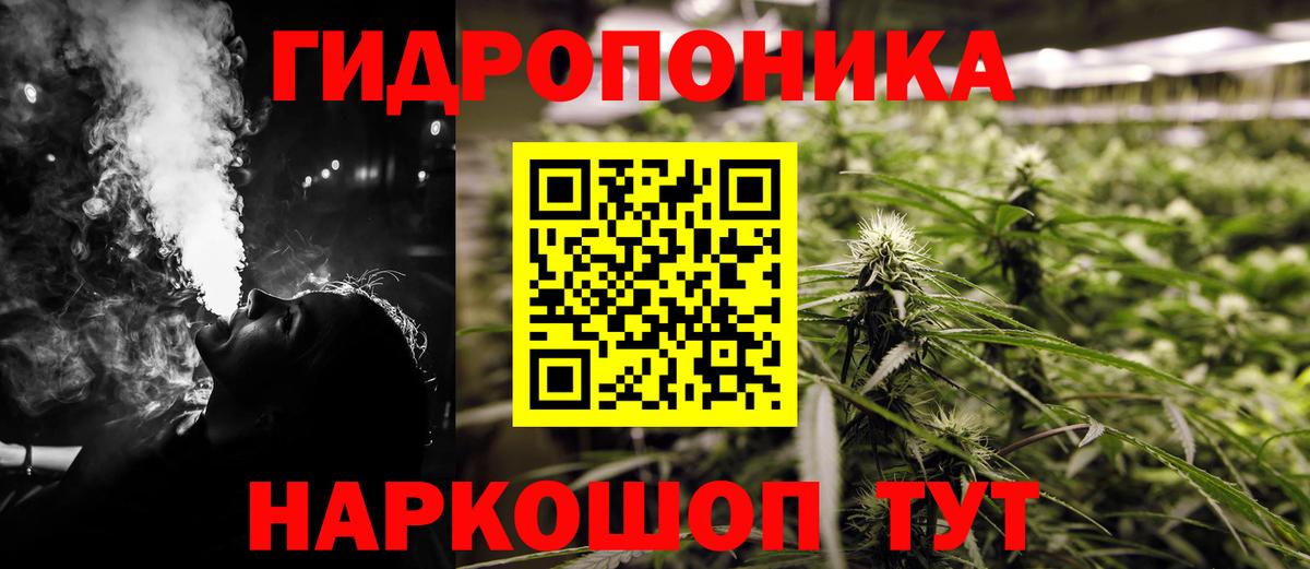 Шишки марихуана семена Северодвинск
